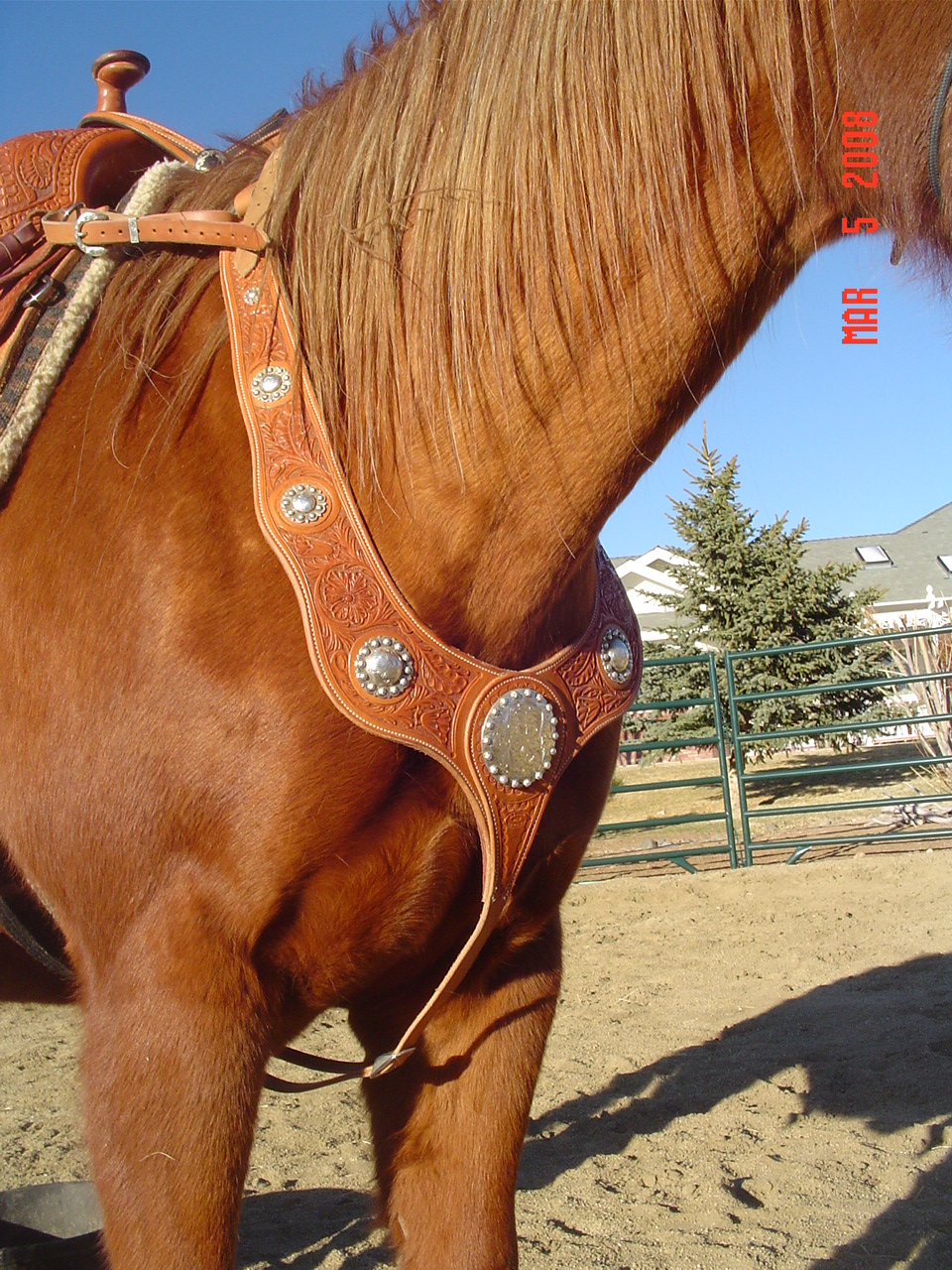 Martingale Collar w/Small Floral